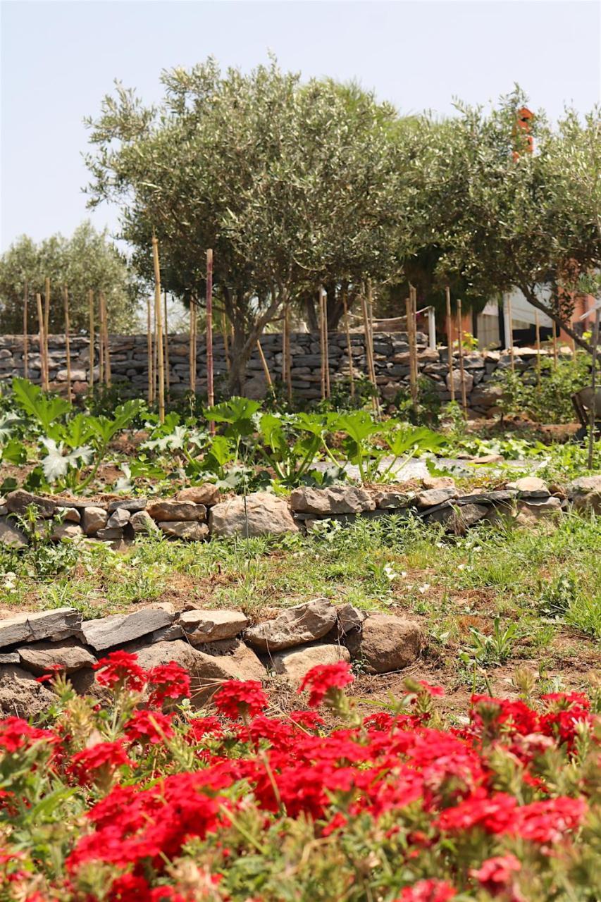 מלון Sennariolo La Rosa Dei Venti מראה חיצוני תמונה
