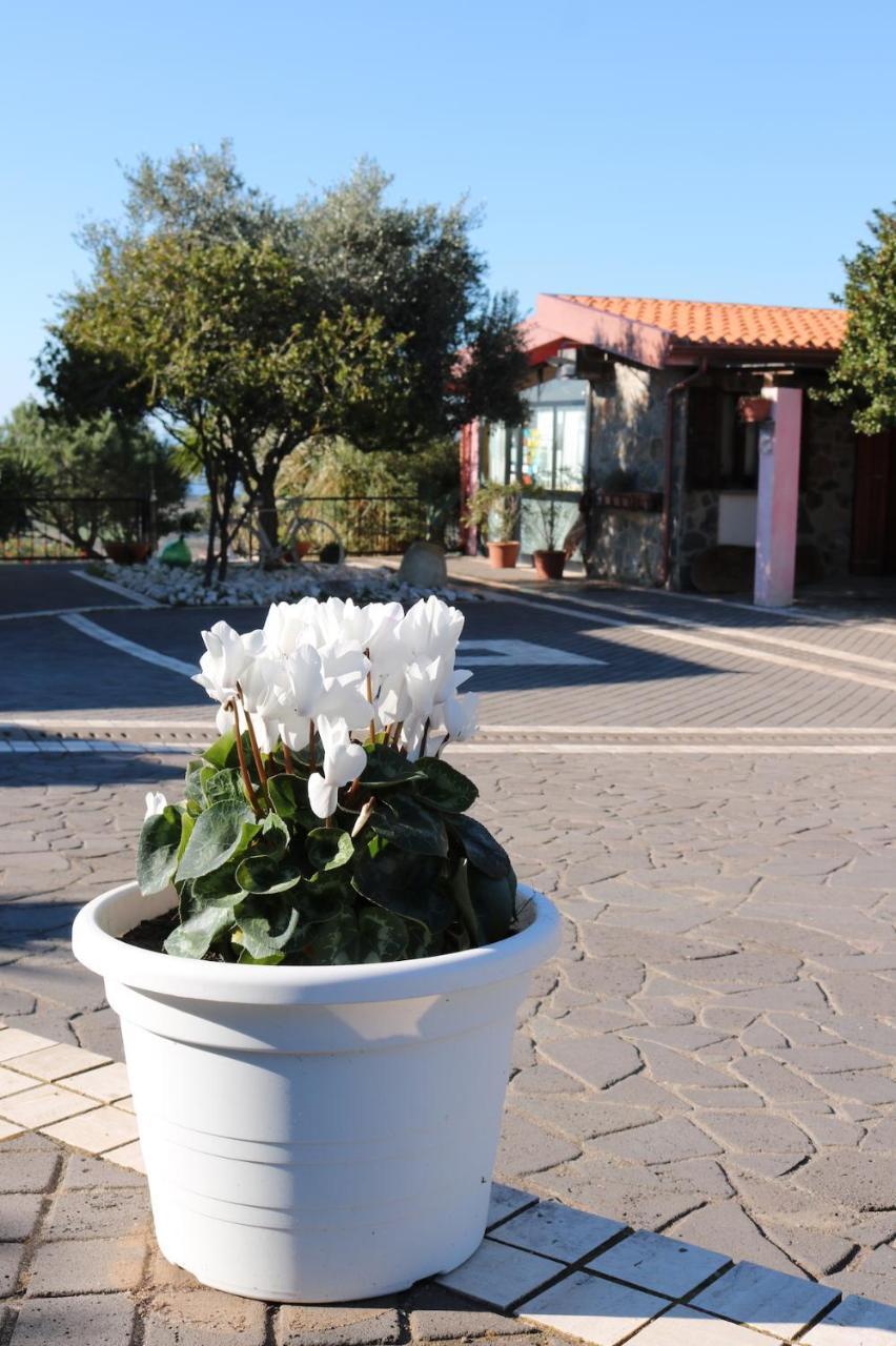מלון Sennariolo La Rosa Dei Venti מראה חיצוני תמונה