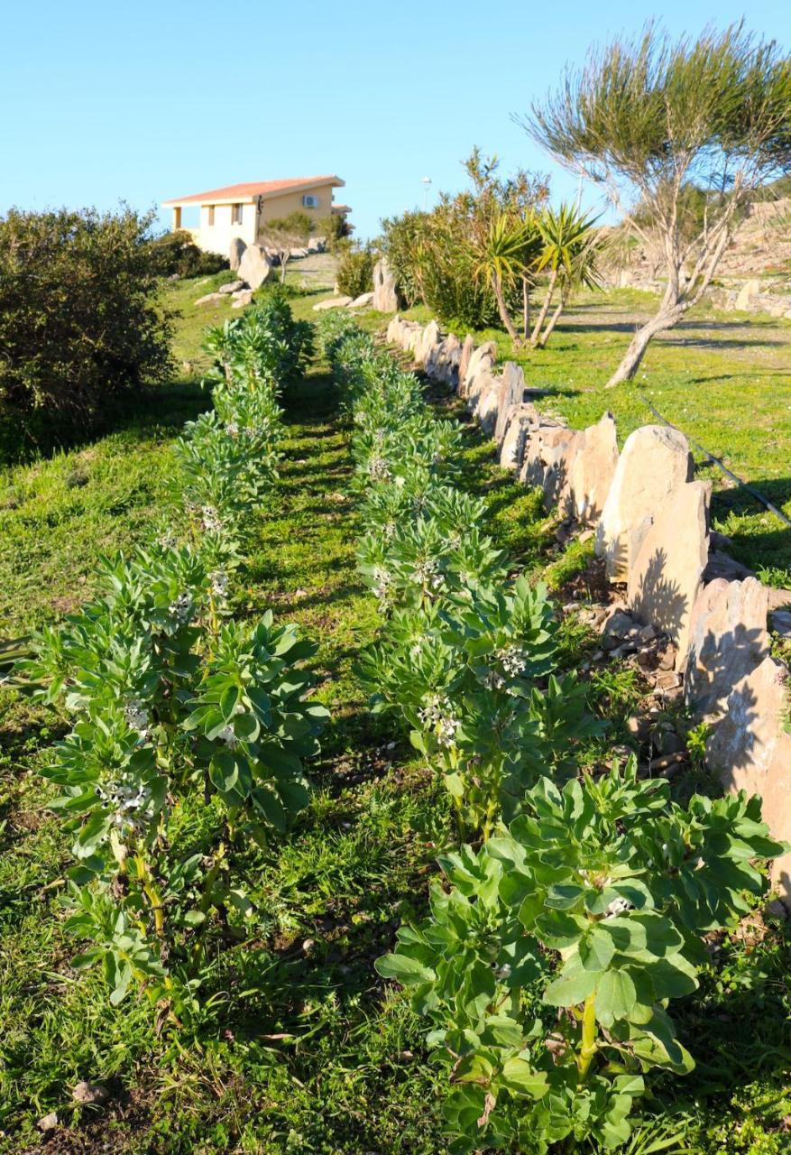 מלון Sennariolo La Rosa Dei Venti מראה חיצוני תמונה
